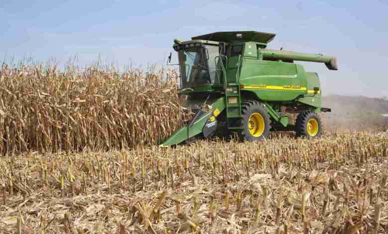 Farmer In A John Deere Combine Harvesting Corn