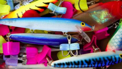 Colorful fishing saltwater fish lures in a box, rusted hooks