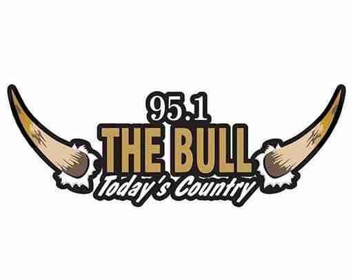 SITE BULL 512x405