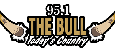 Bull Header 390x168