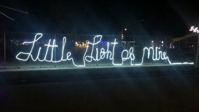 Little Lights Cursive 390x220