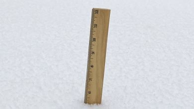 Bigstock A Wooden Ruler Sticking Out Of 406553378 390x220