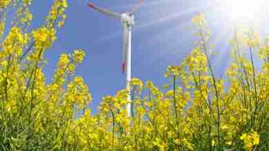 Bigstock Rapeseed Field With Wind Turbi 47010955 390x220