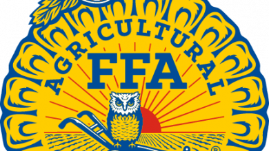 FFAEmblemNR Svg 390x220