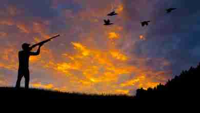 Bird Hunting Silhouette