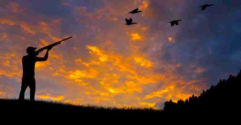 Bird Hunting Silhouette