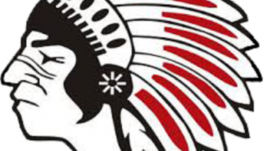 Chickasaws Logo 390x220
