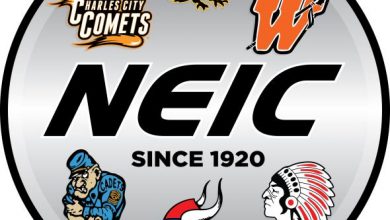 NEIC Logo 390x220