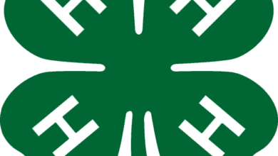4 H Logo 390x220