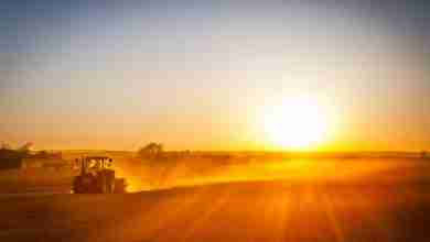 Bigstock Farmer Preparing His Field In 83180882 390x220
