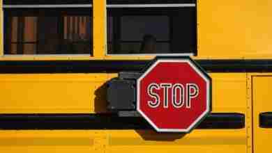 Bigstock School Bus Detail 38081497 390x220