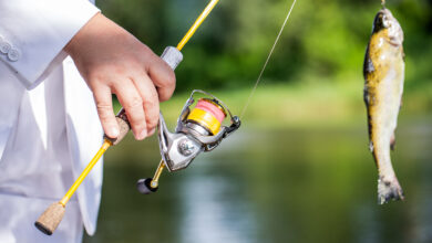 Bigstock Man Hold Big Fish Trout In His 453328217 390x220