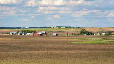 Iowa Farm