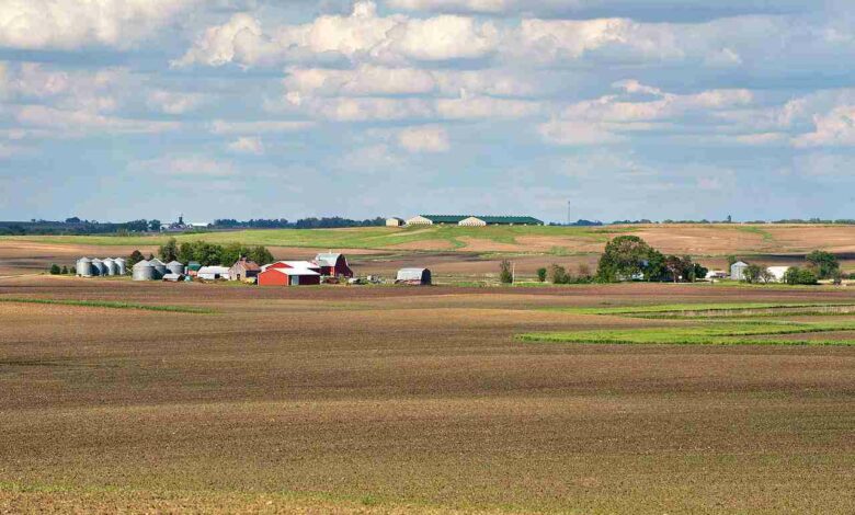 Iowa Farm