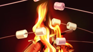 Bigstock Campfire In Dark Night Realist 469823881 390x220