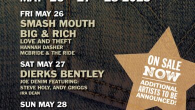 DenimFestPosterFINAL 390x220