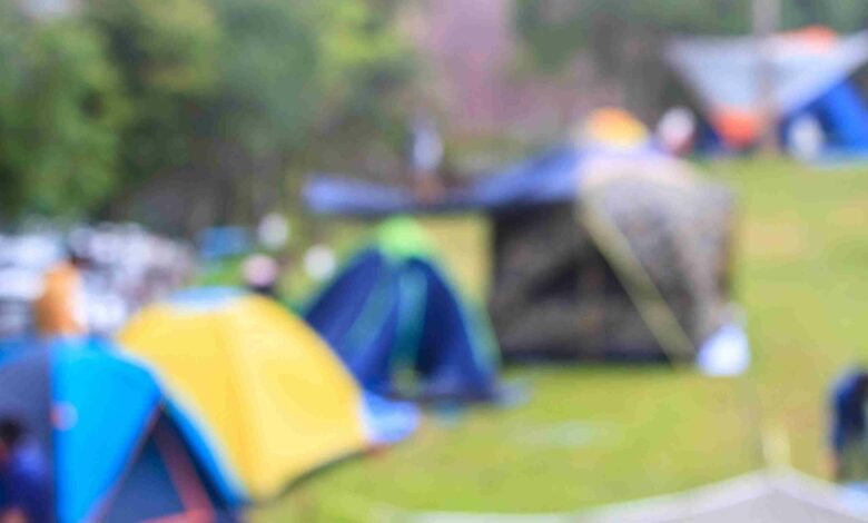 Campground In Morning