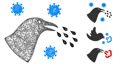 Bigstock Mesh Bird Flu Infection Polygo 363650593 390x220