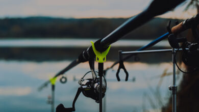Bigstock Sunrise Or Sunset Fishing Fis 463719215 6020693 390x220
