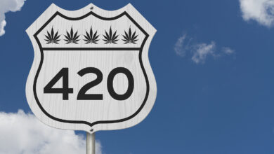 Bigstock Message With Cannabis Leav 450363685 390x220