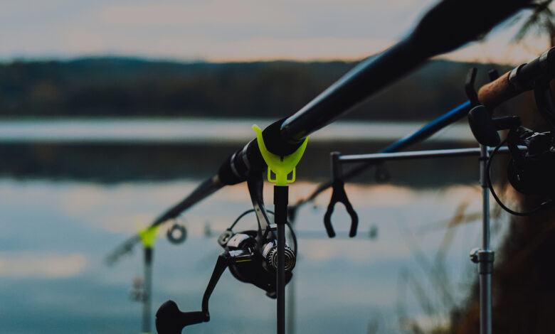 Bigstock Sunrise Or Sunset Fishing Fis 463719215 1844225 4979632 4650650 7064187 780x470