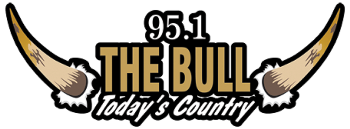 95.1 The Bull