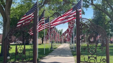 Flags In CC Central Park 390x220