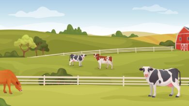 Bigstock Farm Panoramic Landscape Rura 475626777 390x220