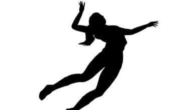 Bigstock Abstract Silhouette Of A Volle 459275073 Scaled E1696016426211 390x220