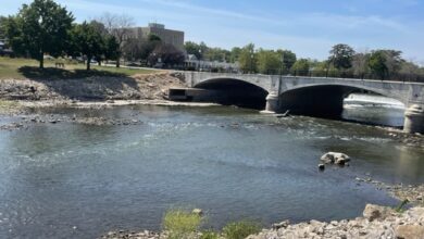 Cedar River Low Level 390x220
