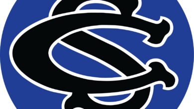 Central Springs Logo 390x220