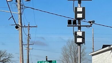 Speed Camera Tree 390x220