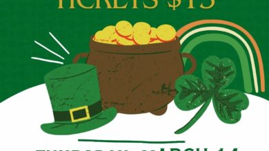 Irish Stew 390x220