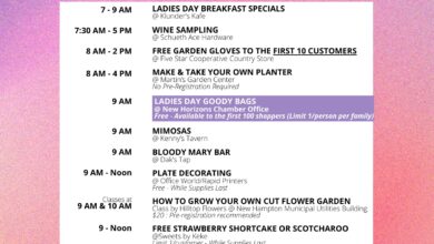 Ladies Day 390x220