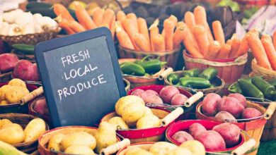 Bigstock Fresh Produce 108216869 390x220