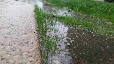 Rainfall