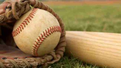 Baseball 390x220