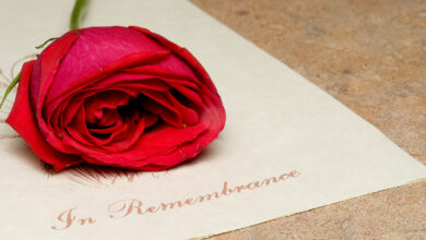Bigstock In Remembrance 4291618 390x220
