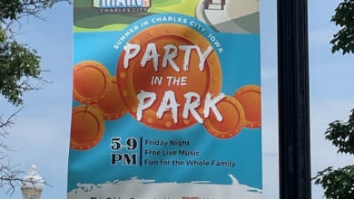 Party In The Park Banner 2024 390x220