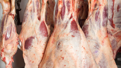 Bigstock Fresh Red Meat Hanging In Butc 90041066 390x220