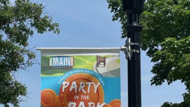Party In The Park Banner 2024 Rotated 390x220