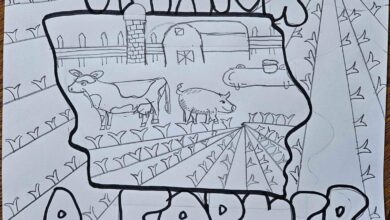 Paisley Ott Calendar Artwork 390x220