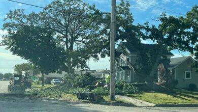 Storm Cleanup In CC 083024 E1725044884161 390x220