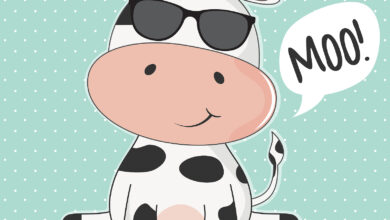 Bigstock Greeting Card Cute Cow With Su 279116968 390x220