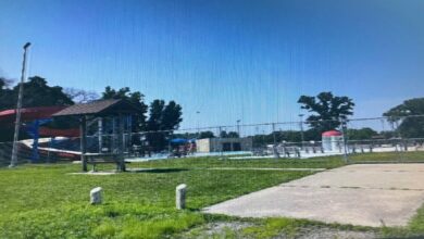 Lions Field Pool Augu 2024 390x220