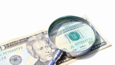 Money Under Magnify Glass Isolated Over White