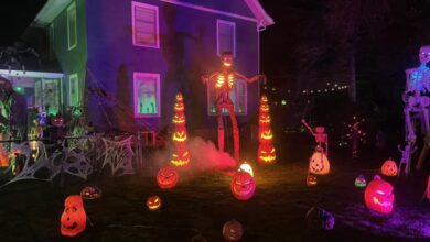Bos Halloween House 390x220