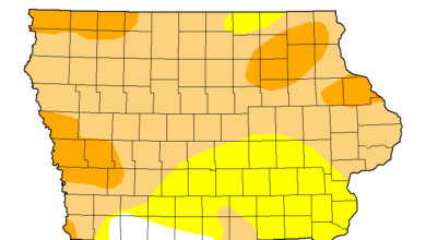 Drought Map 101524 390x220