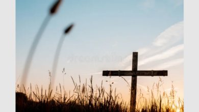 Rev John Sieverts 390x220