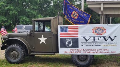 VFW Truck 390x220